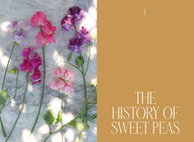 Load image into Gallery viewer, Sweet Pea School