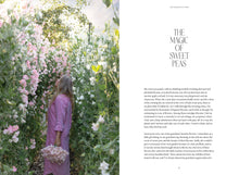 Load image into Gallery viewer, Sweet Pea School