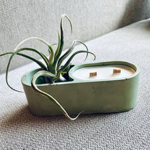 Load image into Gallery viewer, Air Plant Holder & Candle