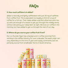 Load image into Gallery viewer, Variety 12 Pack | Healthy Soda | Lightly Caffeinated Soda
