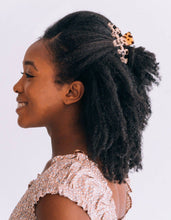 Load image into Gallery viewer, Classic Hair Clip | Med. | Blonde Tortoise