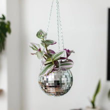 Load image into Gallery viewer, Disco Ball Hanging Planter- 3 Sizes