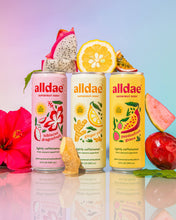 Load image into Gallery viewer, Variety 12 Pack | Healthy Soda | Lightly Caffeinated Soda