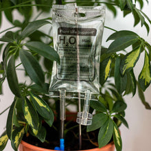 Load image into Gallery viewer, Plant Life Support