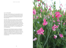 Load image into Gallery viewer, Sweet Pea School