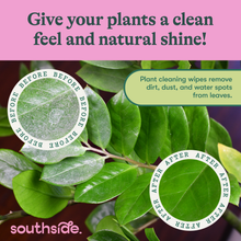 Load image into Gallery viewer, Houseplant Cleaning Wipes