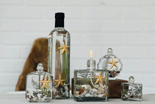 Load image into Gallery viewer, White River Designs Lifetime Candle - Seashell & Urchin
