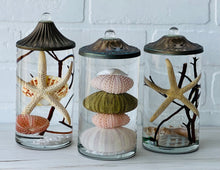 Load image into Gallery viewer, White River Designs Lifetime Candle - Seashell & Urchin