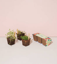 Load image into Gallery viewer, Seed Starter Trio - Green Goddess