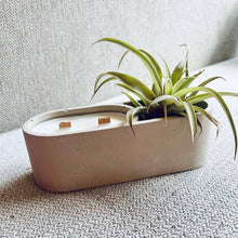 Load image into Gallery viewer, Air Plant Holder & Candle