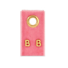 Load image into Gallery viewer, Assorted Initial Studs on Velvet