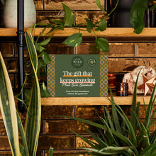 Load image into Gallery viewer, Gift that Grows Essential Kit