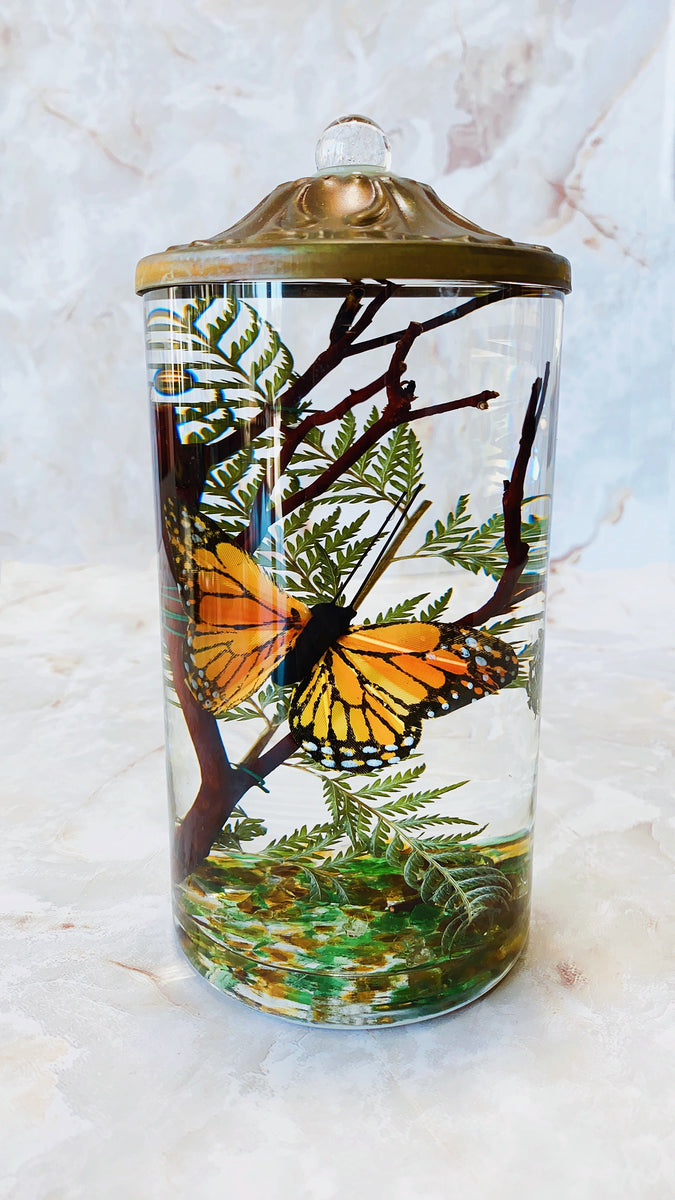 White River Designs Lifetime Candles Monarch Butterfly Eden's