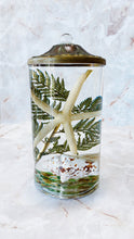 Load image into Gallery viewer, White River Designs Lifetime Candle - Seashell & Urchin