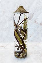 Load image into Gallery viewer, White River Designs Lifetime Candle - Dragonfly