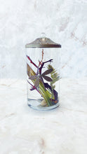 Load image into Gallery viewer, White River Designs Lifetime Candle - Dragonfly