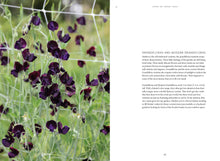 Load image into Gallery viewer, Sweet Pea School
