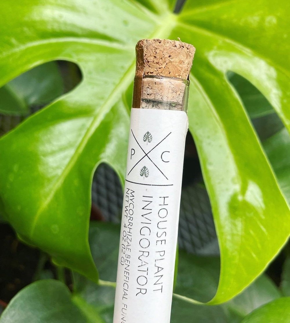 house plant pre rolls HOUSE PLANT INVIGORATOR