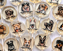 Load image into Gallery viewer, Dog Lollipop Collection (Caramel Flavor)

