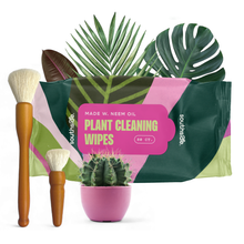 Load image into Gallery viewer, Houseplant Cleaning Wipes
