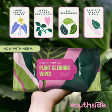 Load image into Gallery viewer, Houseplant Cleaning Wipes
