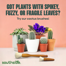 Load image into Gallery viewer, Houseplant Cleaning Wipes
