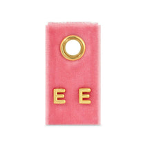 Load image into Gallery viewer, Assorted Initial Studs on Velvet
