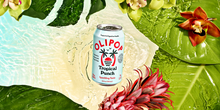 Load image into Gallery viewer, Tropical Punch
