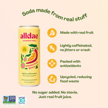Load image into Gallery viewer, Variety 12 Pack | Healthy Soda | Lightly Caffeinated Soda
