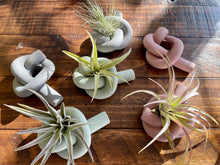 Load image into Gallery viewer, Knot Cement Air Plant Holder
