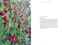 Load image into Gallery viewer, Sweet Pea School
