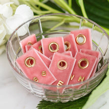 Load image into Gallery viewer, Assorted Initial Studs on Velvet
