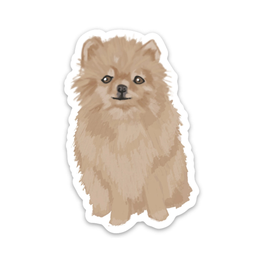 Pomeranian Puppy Sticker