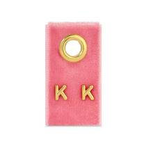 Load image into Gallery viewer, Assorted Initial Studs on Velvet
