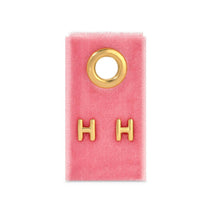 Load image into Gallery viewer, Assorted Initial Studs on Velvet
