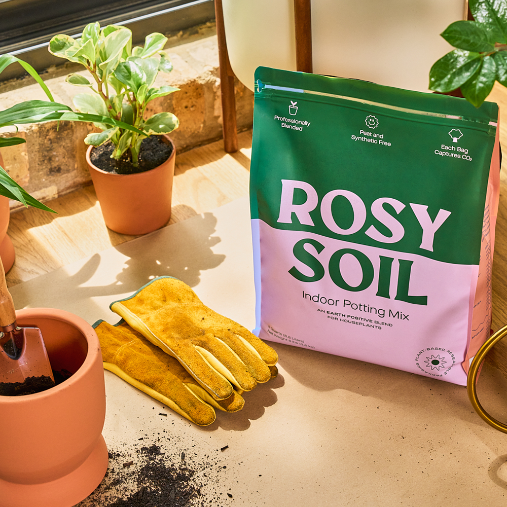 8qt Organic potting soil mix, indoor, houseplant & herbs – Eden's Flower  Truck + Eden's Botanicals